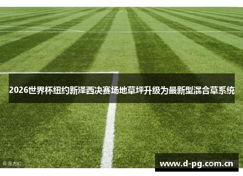 2026世界杯纽约新泽西决赛场地草坪升级为最新型混合草系统